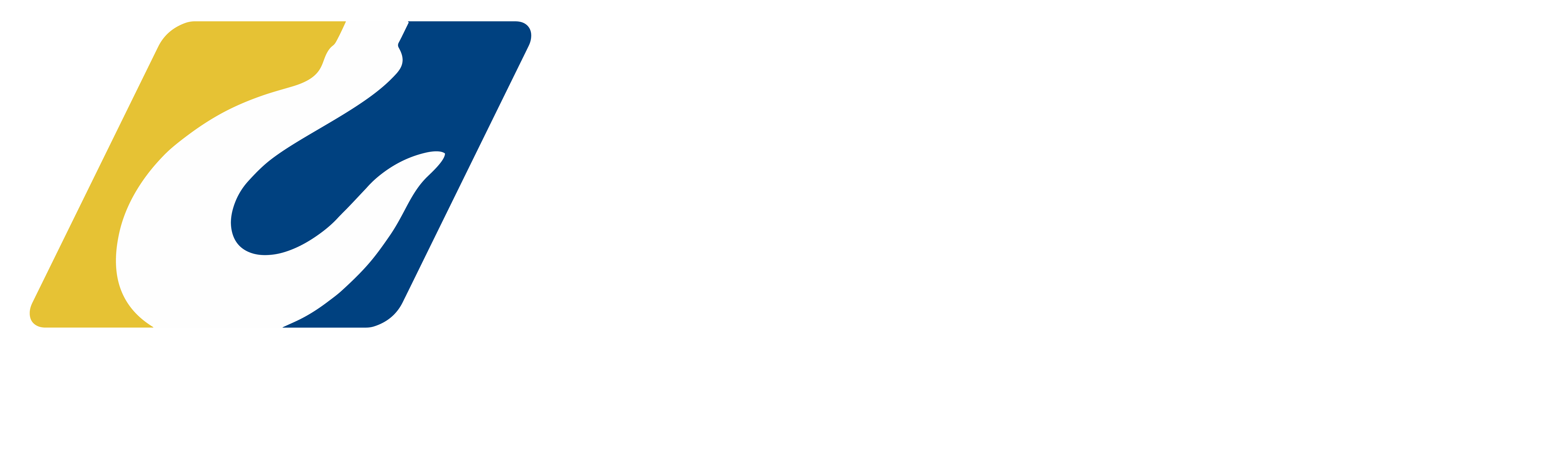 GRUAS RESEMSA LOGO BLANCO 2